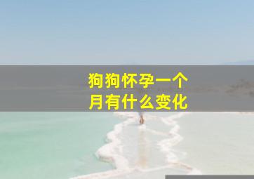 狗狗怀孕一个月有什么变化