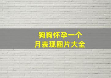 狗狗怀孕一个月表现图片大全