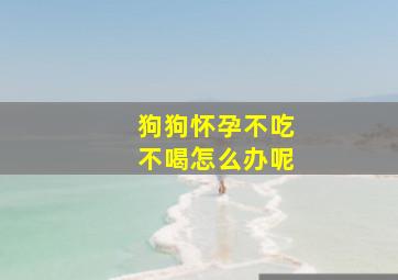 狗狗怀孕不吃不喝怎么办呢