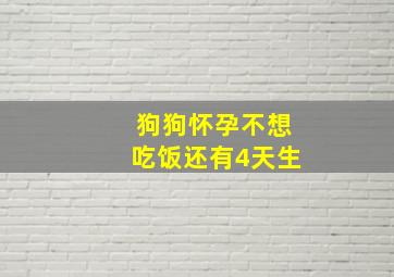 狗狗怀孕不想吃饭还有4天生