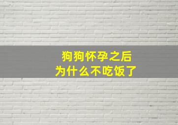 狗狗怀孕之后为什么不吃饭了