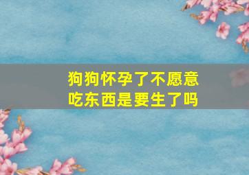 狗狗怀孕了不愿意吃东西是要生了吗