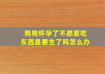 狗狗怀孕了不愿意吃东西是要生了吗怎么办