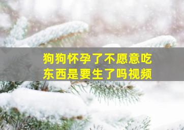 狗狗怀孕了不愿意吃东西是要生了吗视频