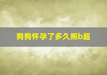 狗狗怀孕了多久照b超