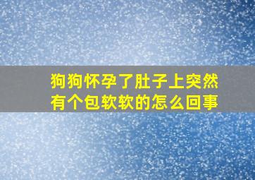 狗狗怀孕了肚子上突然有个包软软的怎么回事