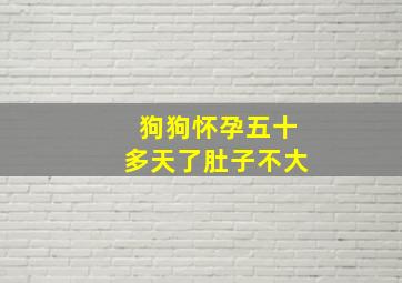 狗狗怀孕五十多天了肚子不大