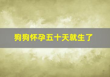 狗狗怀孕五十天就生了