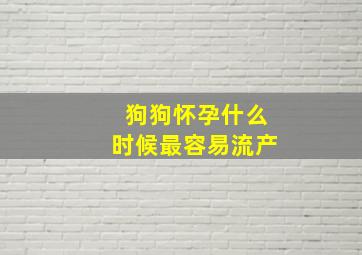 狗狗怀孕什么时候最容易流产