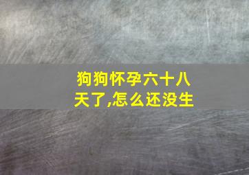 狗狗怀孕六十八天了,怎么还没生