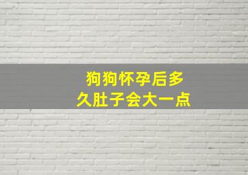 狗狗怀孕后多久肚子会大一点