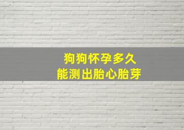 狗狗怀孕多久能测出胎心胎芽