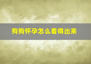 狗狗怀孕怎么看得出来