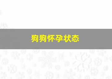 狗狗怀孕状态