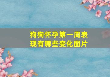 狗狗怀孕第一周表现有哪些变化图片