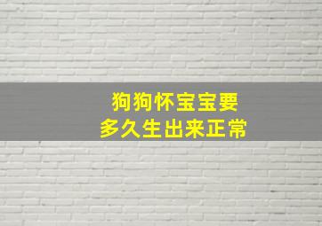 狗狗怀宝宝要多久生出来正常