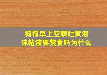 狗狗早上空腹吐黄泡沫粘液要禁食吗为什么