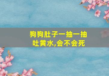 狗狗肚子一抽一抽吐黄水,会不会死