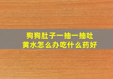 狗狗肚子一抽一抽吐黄水怎么办吃什么药好