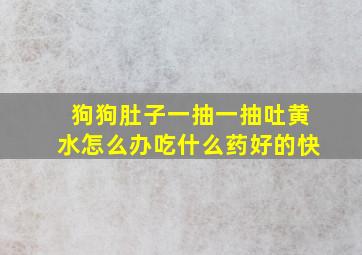 狗狗肚子一抽一抽吐黄水怎么办吃什么药好的快