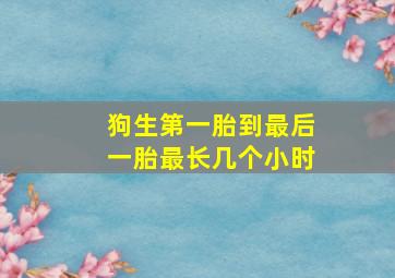 狗生第一胎到最后一胎最长几个小时