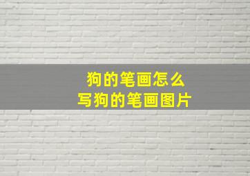 狗的笔画怎么写狗的笔画图片