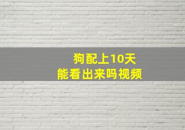 狗配上10天能看出来吗视频