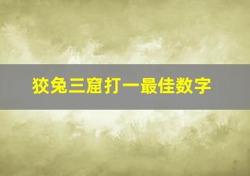 狡兔三窟打一最佳数字