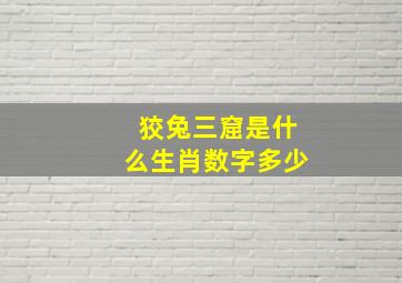 狡兔三窟是什么生肖数字多少