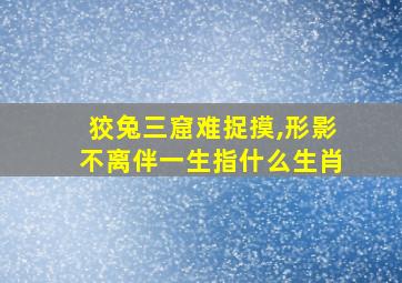 狡兔三窟难捉摸,形影不离伴一生指什么生肖