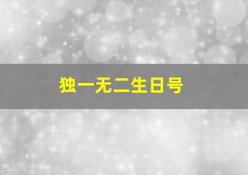 独一无二生日号