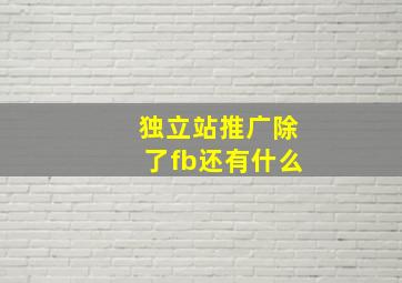 独立站推广除了fb还有什么