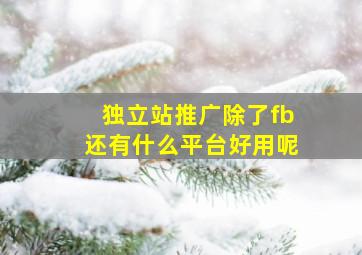 独立站推广除了fb还有什么平台好用呢