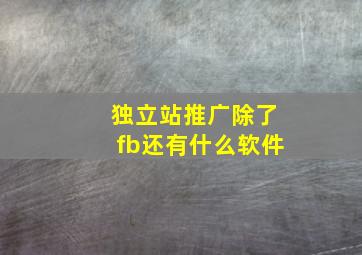 独立站推广除了fb还有什么软件