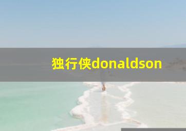 独行侠donaldson