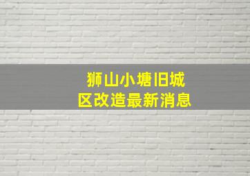 狮山小塘旧城区改造最新消息