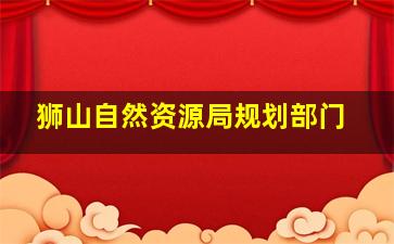 狮山自然资源局规划部门