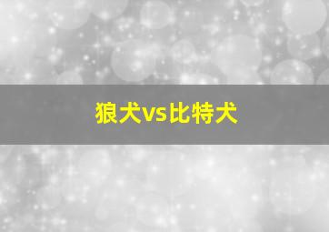 狼犬vs比特犬