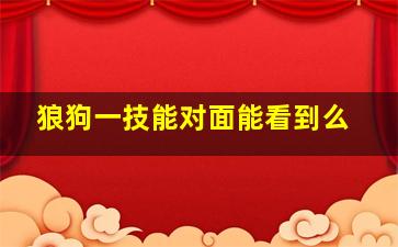 狼狗一技能对面能看到么