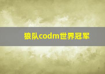 狼队codm世界冠军