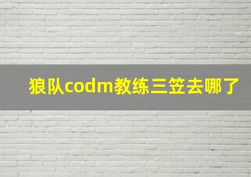 狼队codm教练三笠去哪了