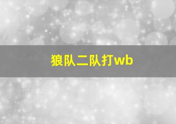 狼队二队打wb