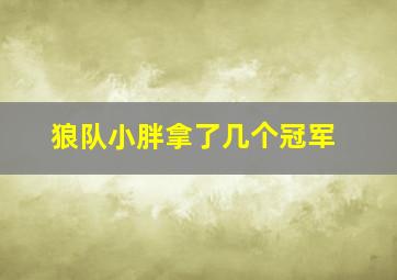 狼队小胖拿了几个冠军