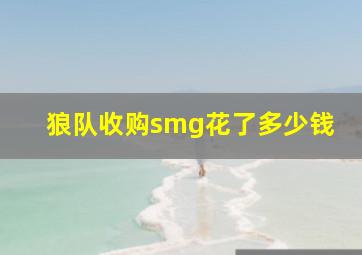 狼队收购smg花了多少钱