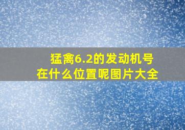 猛禽6.2的发动机号在什么位置呢图片大全