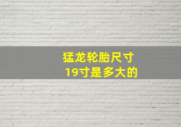 猛龙轮胎尺寸19寸是多大的