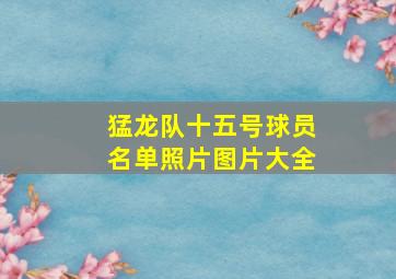 猛龙队十五号球员名单照片图片大全