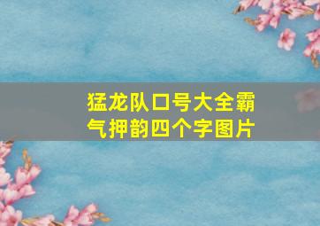 猛龙队口号大全霸气押韵四个字图片