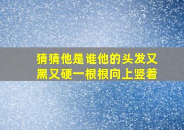 猜猜他是谁他的头发又黑又硬一根根向上竖着