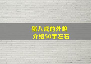 猪八戒的外貌介绍50字左右